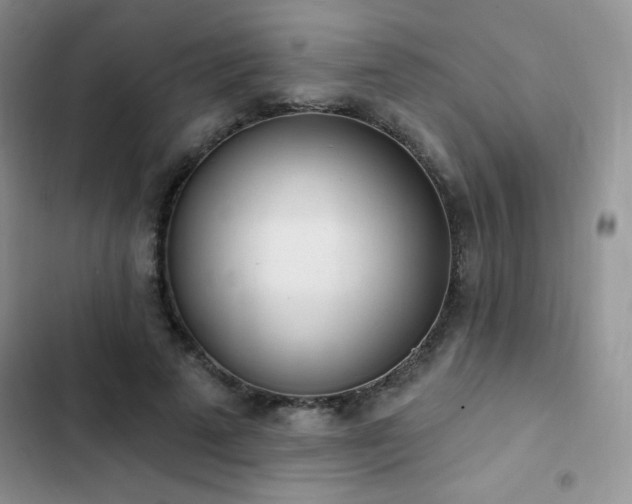 X0000102870689200808181506
