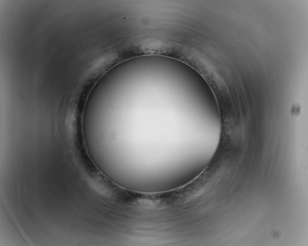 X0000102870690200808181506