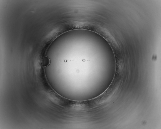 X0000102870691200808181506