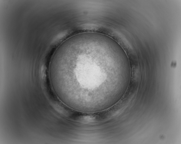 X0000102870692200808181506