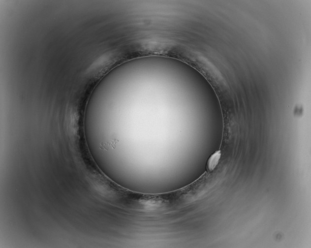 X0000102870693200808181506
