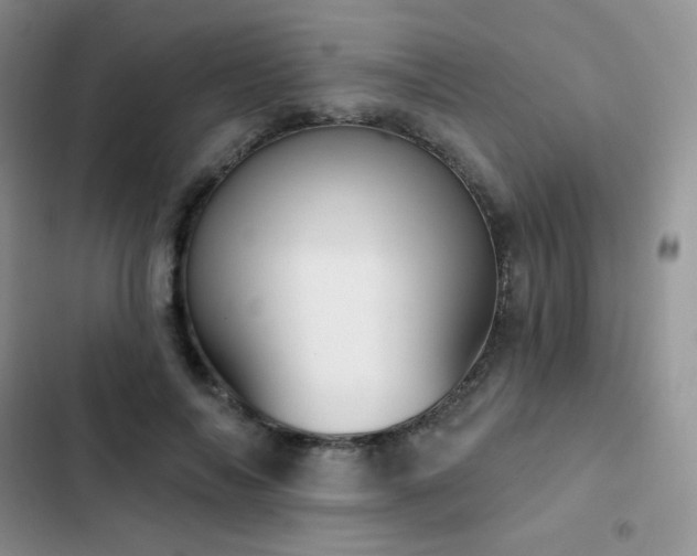 X0000102870694200808181506