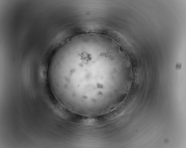X0000102870695200808181506