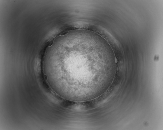 X0000102870696200808181506