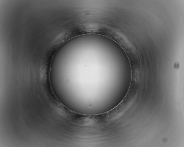 X0000102870697200808181506