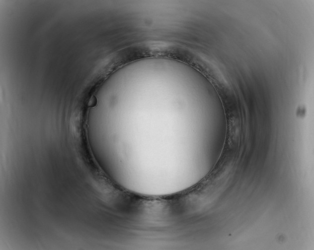 X0000102870698200808181506