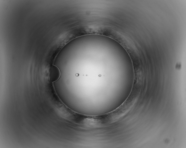 X0000102870699200808181506