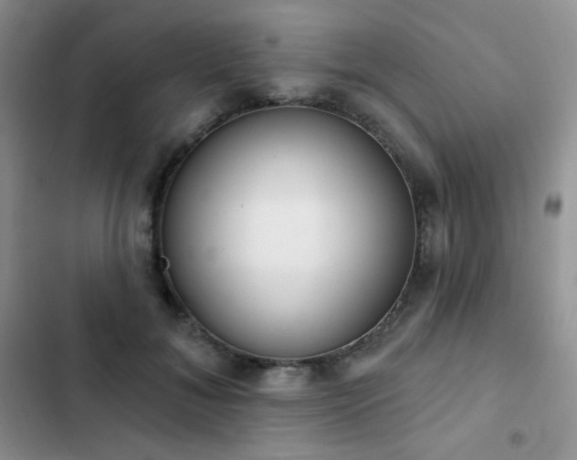 X0000102870700200808181506