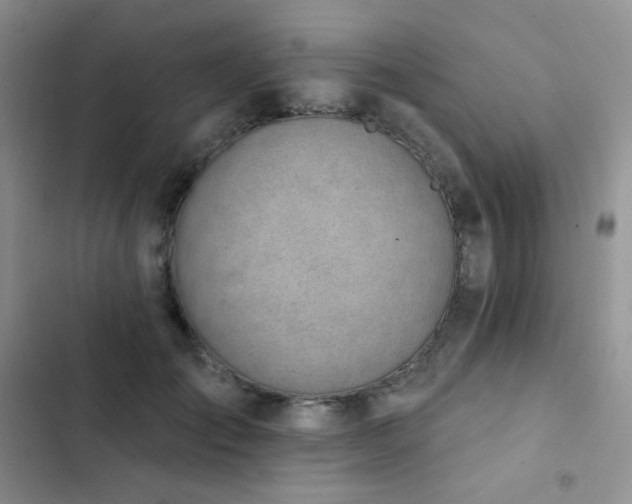 X0000102870701200808181506