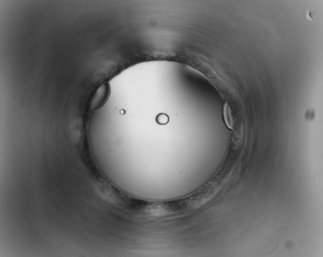 X0000102870704200808181506