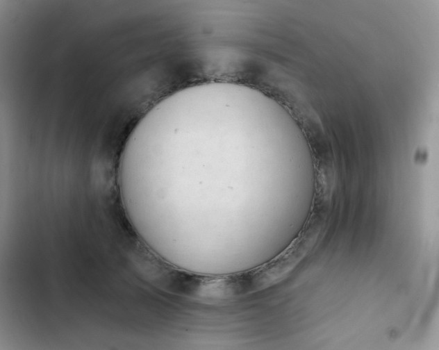 X0000102870705200808181506