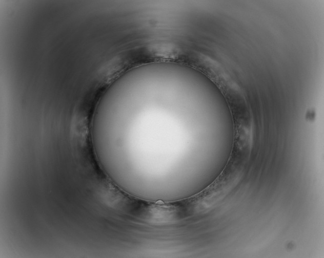 X0000102870707200808181506