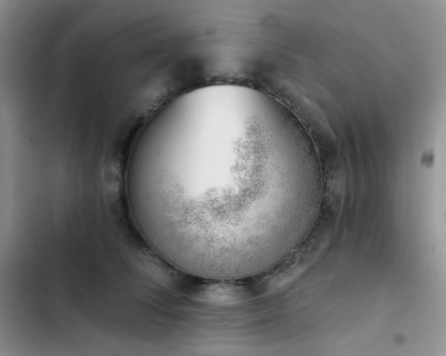 X0000102870708200808181506