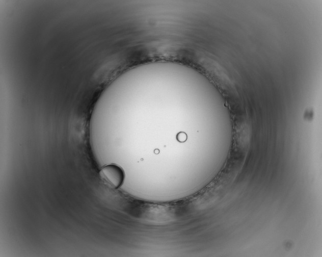 X0000102870709200808181506