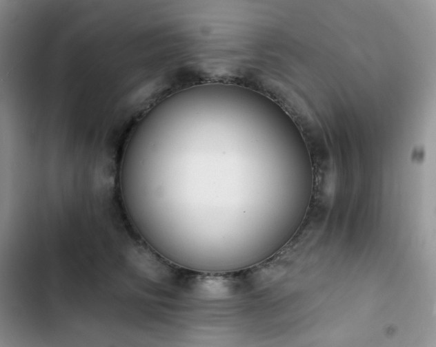 X0000102870710200808181506