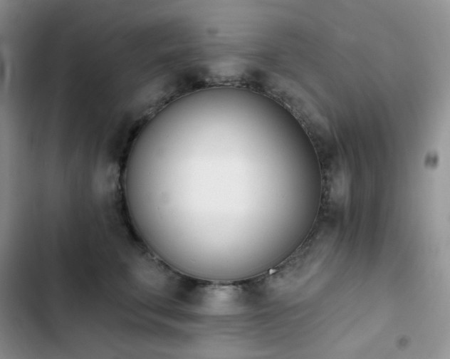 X0000102870711200808181506