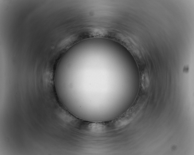 X0000102870714200808181506
