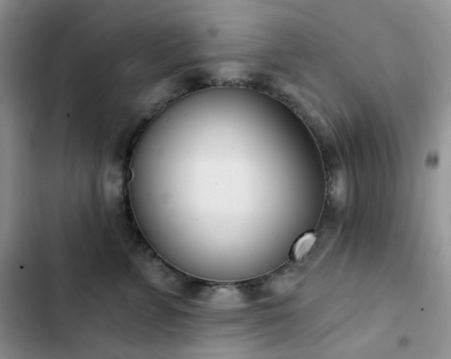 X0000102870715200808181506