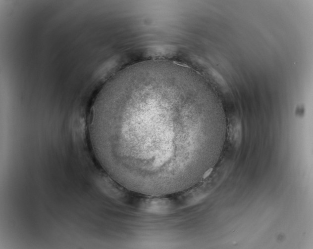 X0000102870716200808181506