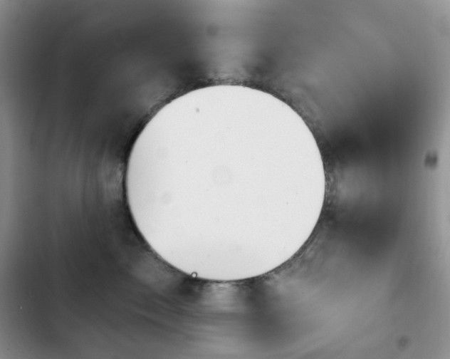 X0000102870717200808181506