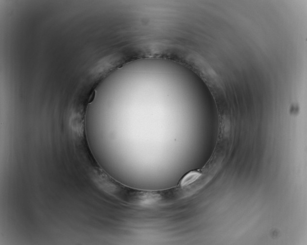 X0000102870719200808181506