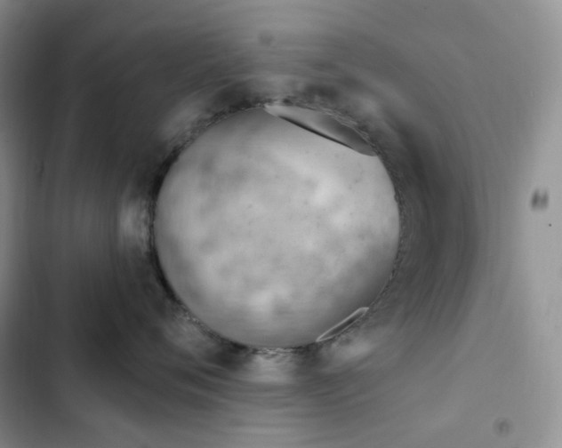 X0000102870720200808181506