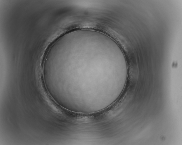 X0000102870721200808181505