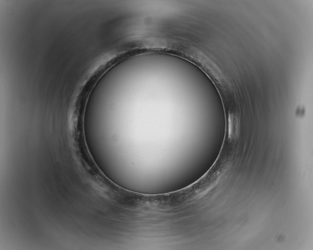 X0000102870723200808181505