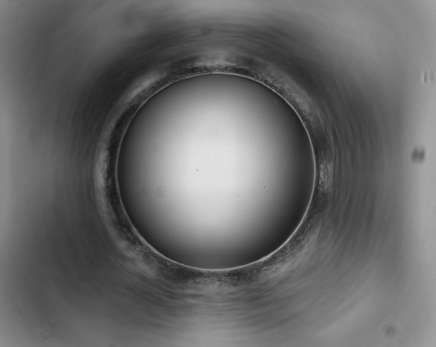 X0000102870724200808181505