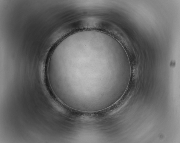 X0000102870725200808181505