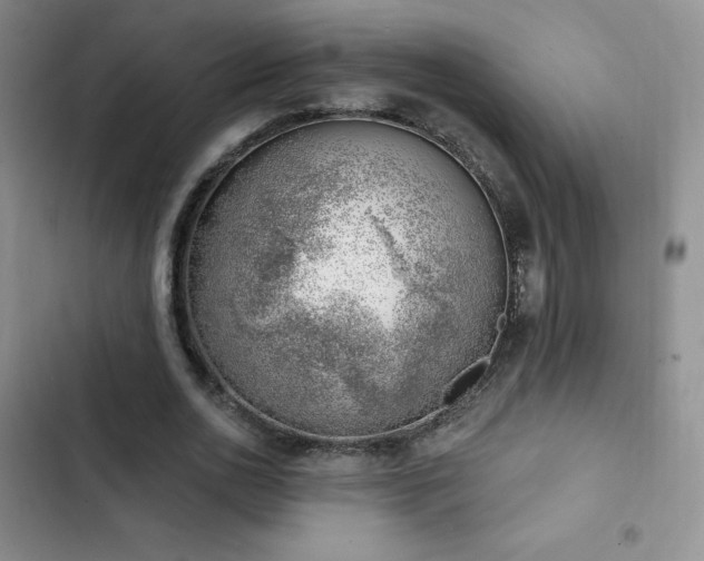 X0000102870726200808181505