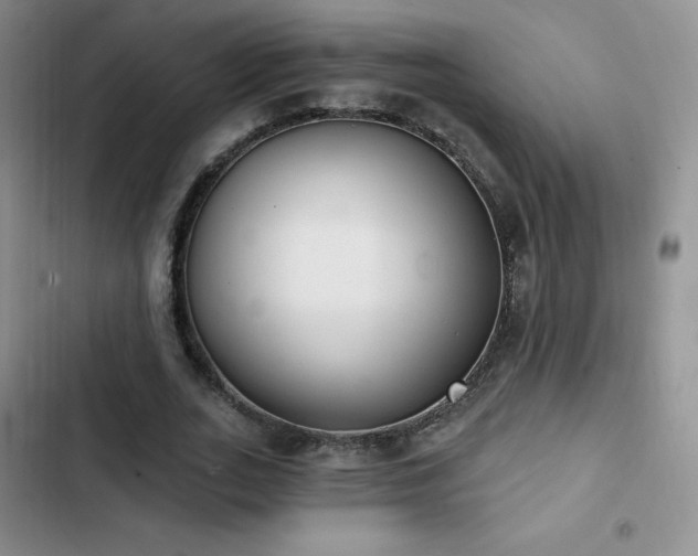 X0000102870727200808181505