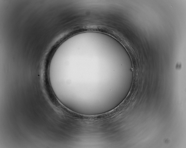 X0000102870728200808181505