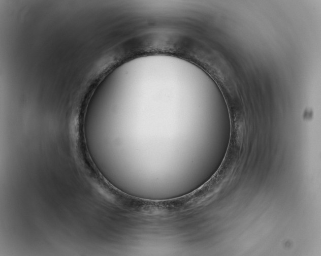 X0000102870729200808181505