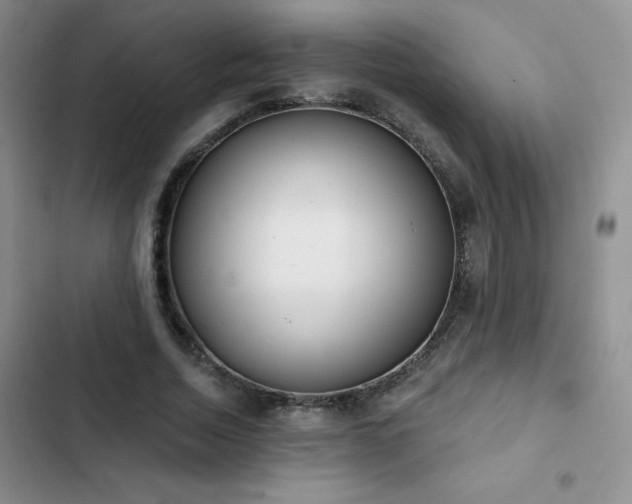 X0000102870730200808181505