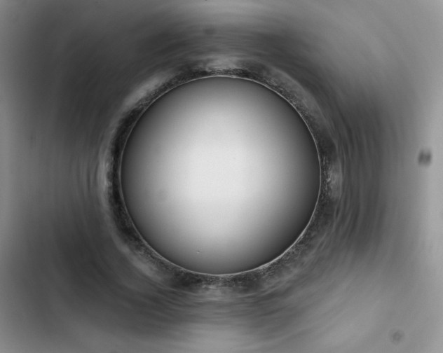 X0000102870732200808181505