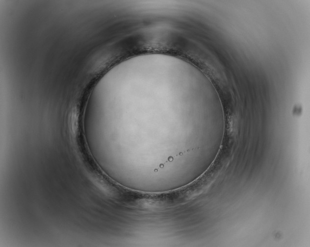 X0000102870733200808181505