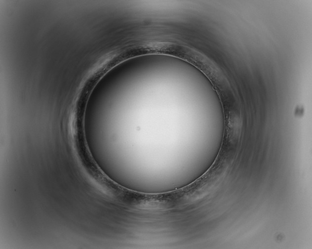 X0000102870734200808181505