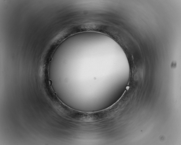 X0000102870735200808181505