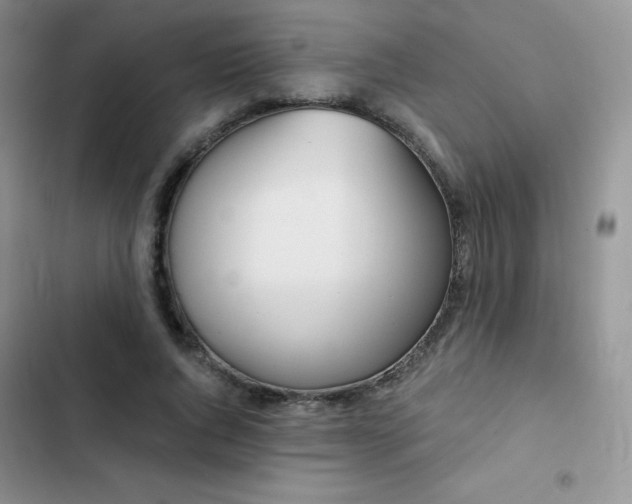 X0000102870736200808181505