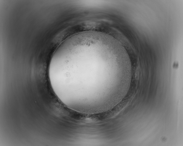X0000102870737200808181505