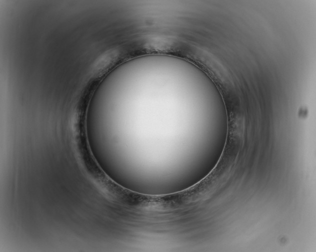 X0000102870738200808181505
