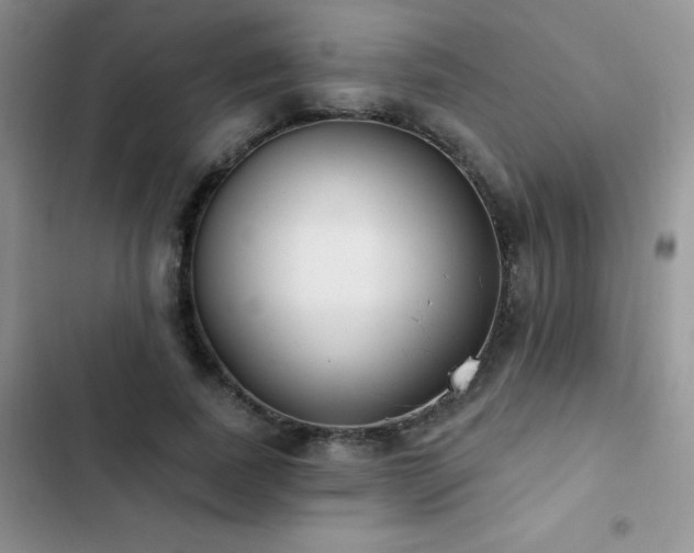 X0000102870739200808181505