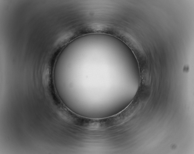 X0000102870740200808181505