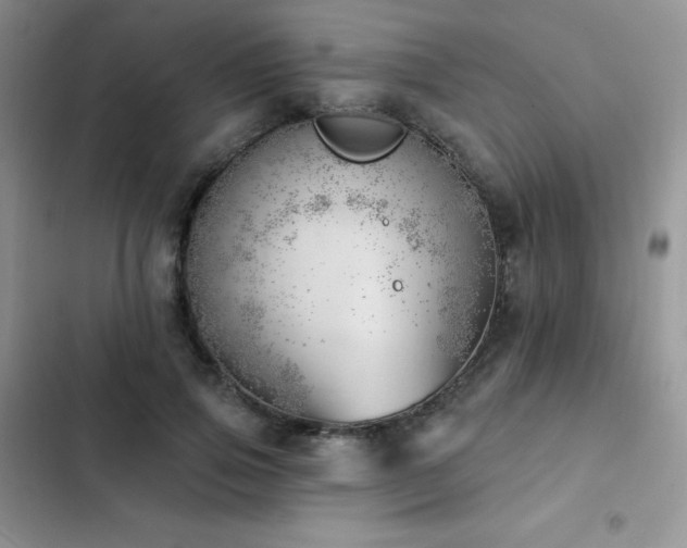 X0000102870741200808181505