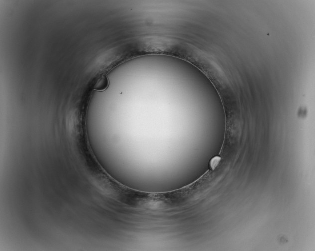 X0000102870743200808181505