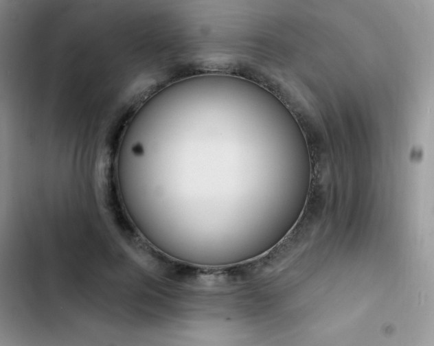 X0000102870744200808181505
