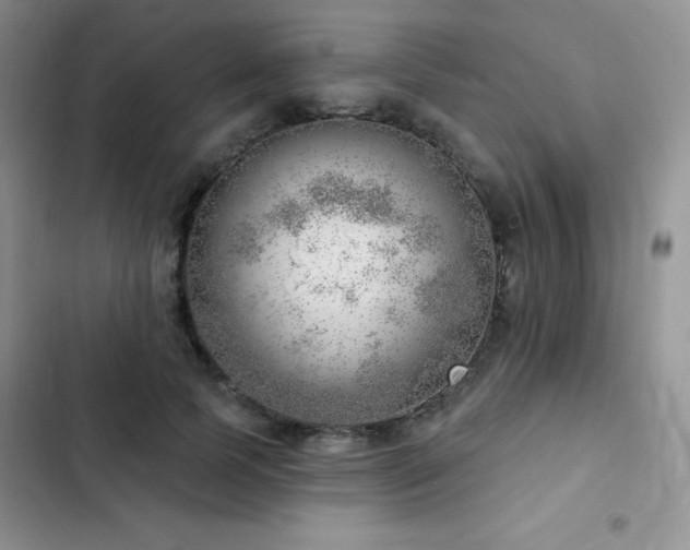 X0000102870745200808181505