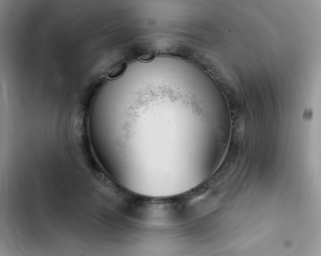 X0000102870746200808181505