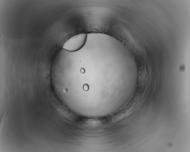 X0000102870749200808181505